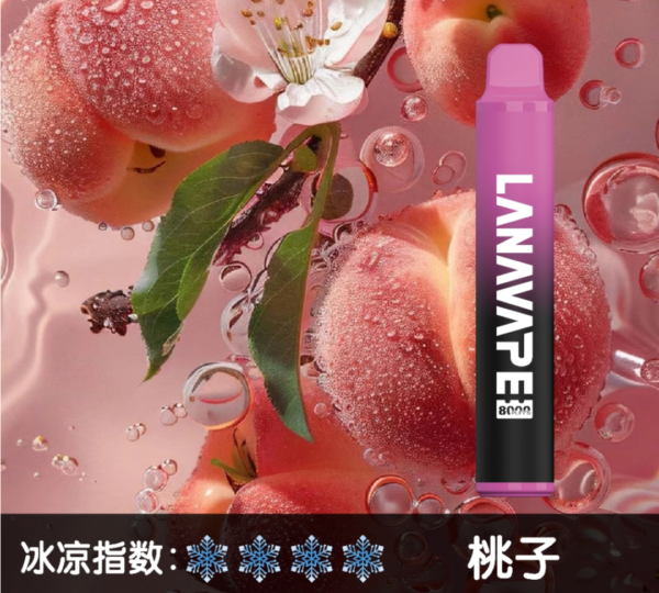 【LANA抛棄式8000口】可充電 油容量巨大❤️‍🔥 LANA ZOLT抛棄式8000口一次性  限時活動 {滿十送一}