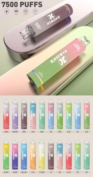 【XIAOKE梟客 抛棄式7500口 】可充電🔋 限時活動