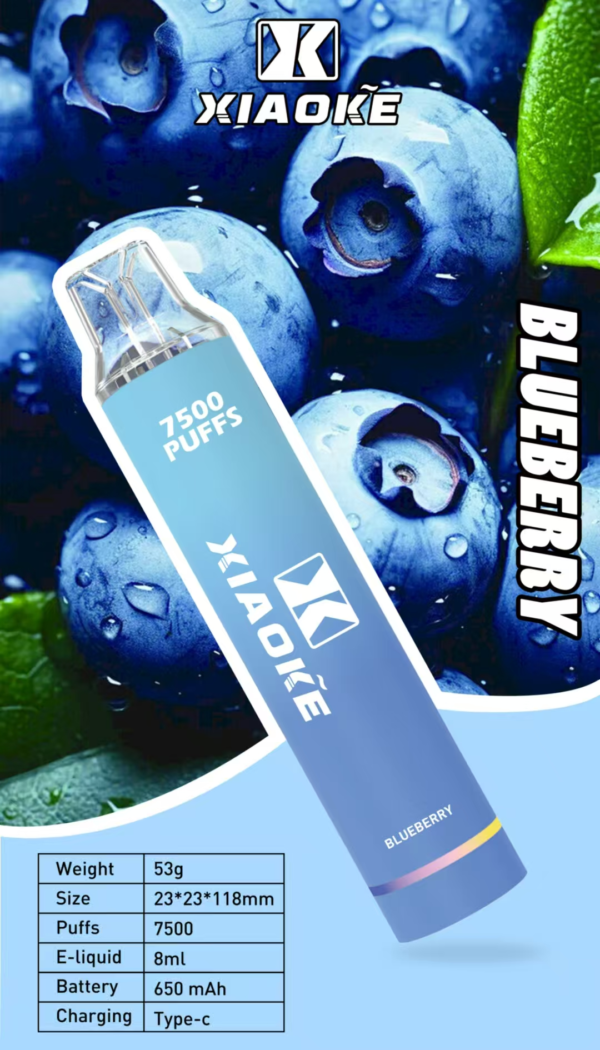 【XIAOKE梟客 抛棄式7500口 】可充電🔋 限時活動