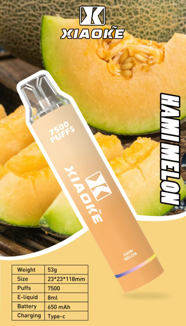 【XIAOKE梟客 抛棄式7500口 】可充電🔋 限時活動