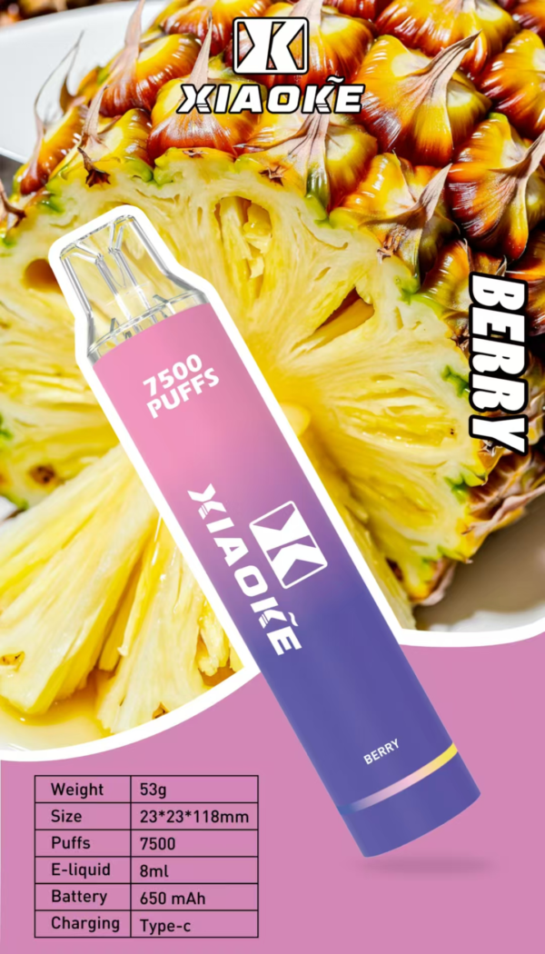 【XIAOKE梟客 抛棄式7500口 】可充電🔋 限時活動